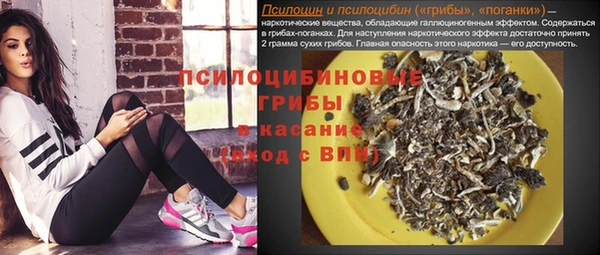 соль ск Белокуриха