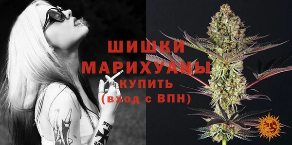 соль ск Белокуриха
