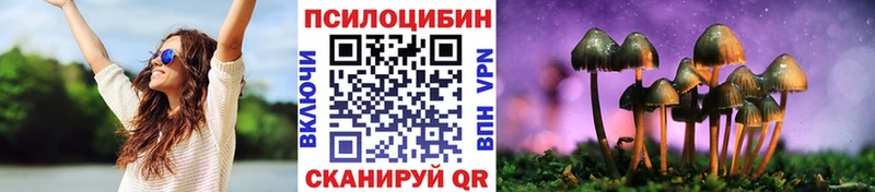 Купить  Ливны  Псилоцибиновые грибы мицелий 